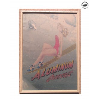 DOPLŇKY / ACCESSORIES - Retro obraz Rocka Pin-Up Plane